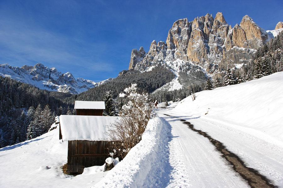 Appartamenti Dolomiti モエナ エクステリア 写真